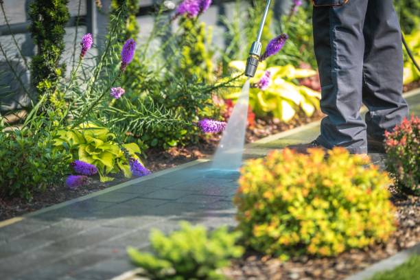 Best Patio and Deck Pressure Washing  in Woodlawn Beach, FL