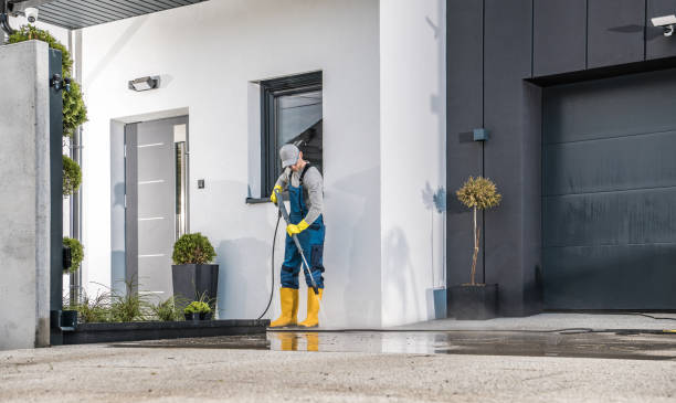 Best Roof Washing  in Woodlawn Beach, FL